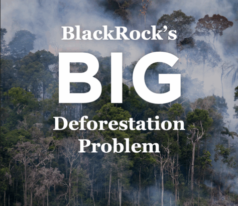 trees burning in a forest, white text superimposed reading "BlackRock's BIG Deforestation Problem" with the word Big significantly larger than rest of the text